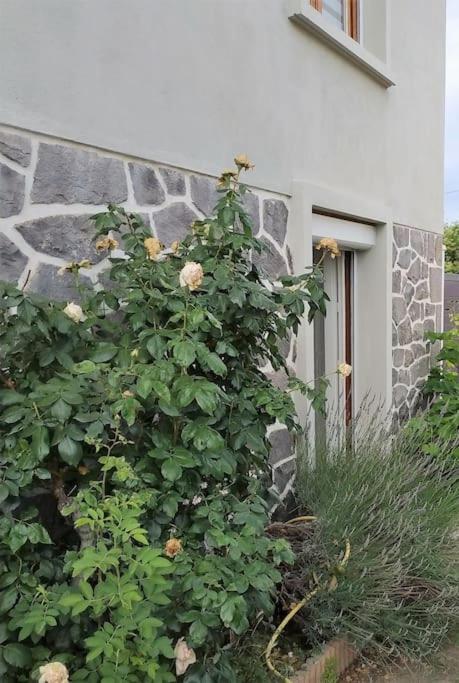 Grand Studio Avec Jardin Et Entree Privative A Noter Reservations De 3 Nuits Minimum Clermont-Ferrand Extérieur photo